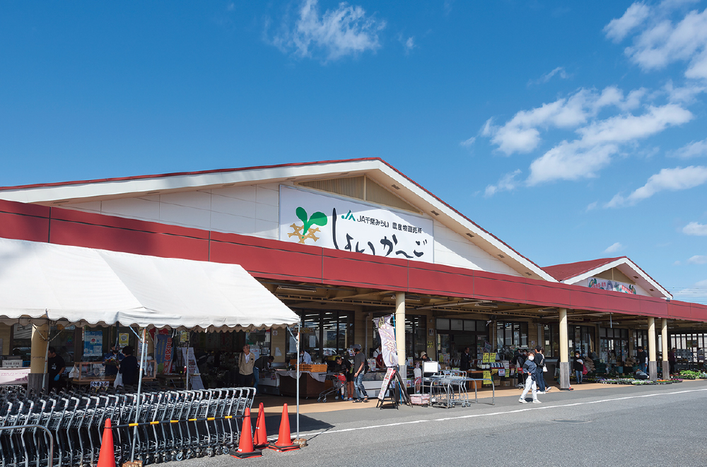 しょいか～ご千葉店