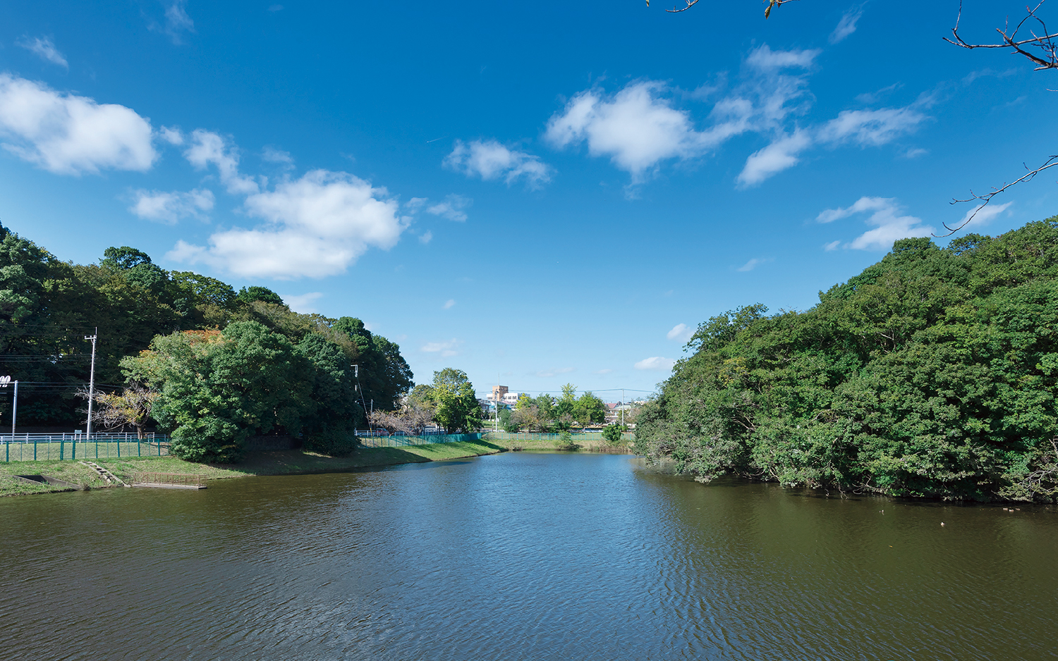 千城台野鳥観察園