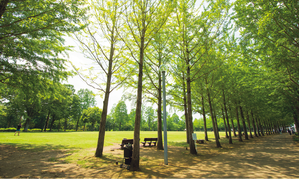 緑あふれる公園も多く、子育てに嬉しい住環境