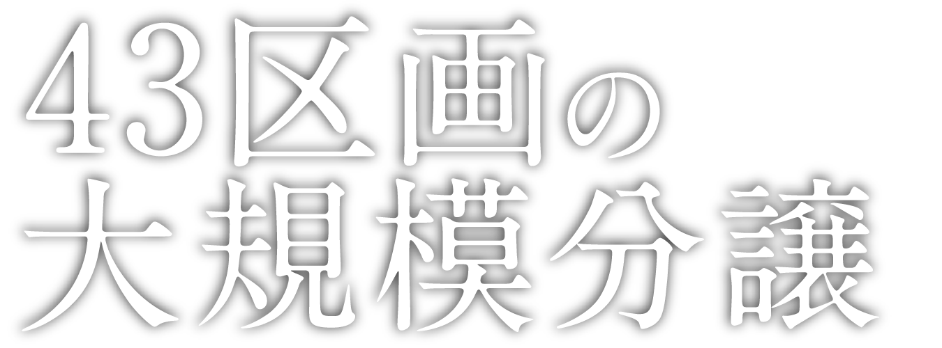 43区画の大規模分譲