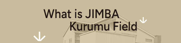 What is JIMBA Kurumu Field